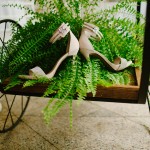 5 plantas para decorar seu casamento ou evento – e não usar flores.